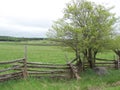 Cedar Rail Fence