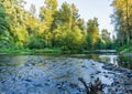 Cedar River Landscape