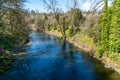 Cedar River In Renton 3