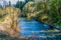 Cedar River In Renton 7