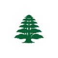 Cedar tree icon. Modern, classy icon design in simple, clean style for your business. Royalty Free Stock Photo