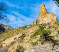 Cedar Tree On The Limestone Terraced Walls on The Devil\'s Hall Trail