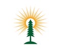 Cedar tree logo template illustration Royalty Free Stock Photo