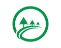 Cedar tree Logo template