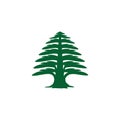 Cedar tree logo in simple clean style for your business.