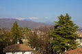 Cedar tree on mountain background, Milano Bergamo. Italy, landscape panoramic view with red tiles on roofs. Royalty Free Stock Photo