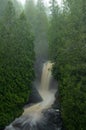 Cedar Trees and Waterfall