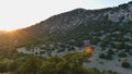 Cedar valley on sunset in Crimea Noviy Svet on summer outdoors background