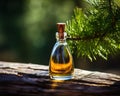 Cedar wood essential oil is in a small transparent glass bottle on a branch.