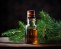 Cedar wood essential oil is in a small transparent glass bottle on a branch.