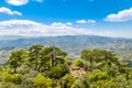 Cedars and beautiful valley view, Troodos mountains Royalty Free Stock Photo