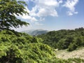 Cedars of Lebanon Royalty Free Stock Photo