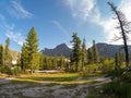 Cedars on a sunny mountain. Wonderful view to beautiful autumn hill slope with coniferous trees and rocks under blue sky. Vivid