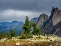 Cedars on a sunny mountain. Wonderful view to beautiful autumn hill slope with coniferous trees and rocks under dramatic sky.