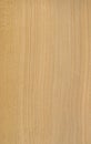 Ceder wood veneer texture Royalty Free Stock Photo