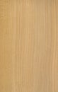 Ceder wood veneer texture