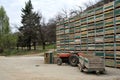 Grape crates on a wine farm in the Cederberg region