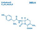 The illustrations molecular structure of cefadroxil