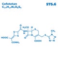 The illustrations molecular structure of cefotetan