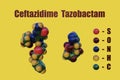 Ceftazidime and tazobactam. Space-filling molecular models. 3d illustration