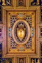 Ceiling of Archbasilica of St. John Lateran in Rome