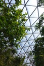 The Ceiling of an Aviary