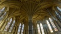 Ceiling of Chapter House A, Beauty of Gothic Architecture