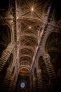 Ceiling of a church in florance italy