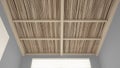 Ceiling close-up in modern sustainable country interior, wooden bamboo ceiling, exposed beams and canes, gray plaster walls,