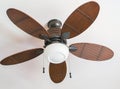 Ceiling fan