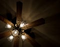 Ceiling Fan With Lights