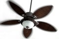 Ceiling Fan in Motion