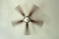 Ceiling fan with spinning blades attached to textured plaster ceiling