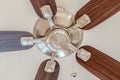 Ceiling fan with wooden blades and lights mounted on the ceiling of a home