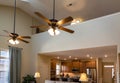 Ceiling Fans in New House