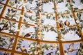 Ceiling fresco in the Uffizi Gallery, Florence, Italy Royalty Free Stock Photo