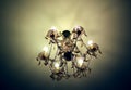 Ceiling gilded chandelier in classic interior Royalty Free Stock Photo