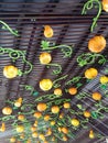 ceiling with Halloween decorations