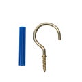 Ceiling Hook Screw and wall plug for mounting and hanging Royalty Free Stock Photo