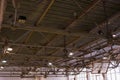 Ceiling, lighting Football on field futsal ball field in the gym indoor, Soccer