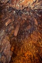 Ceiling with many stalactites in Damlatas cave Alanya, Turkey. Brown-orange natural texture of mineral formations on surfaces