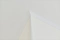 Ceiling white classic polyurethane molding, wall corner