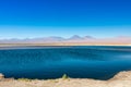 Cejar lagoon and Licancabur volcano in Atacama, Chile