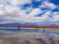 Cejar Lagoon in San Pedro de Atacama