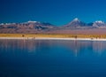 Cejar salt lagoon and Licancabur volcano in Atacama