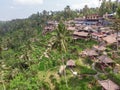 Ceking Rice Terrace in Bali, Indonesia. Rice Fields in Background. Drone Point of View