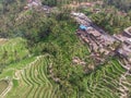 Ceking Rice Terrace in Bali, Indonesia. Rice Fields in Background. Drone Point of View