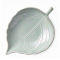 Celadon Leaf Shaped Ceramic Dish on White Background Royalty Free Stock Photo