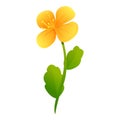 Celandine garden flower icon, cartoon style Royalty Free Stock Photo