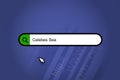 Celebes Sea - search engine, search bar with blue background